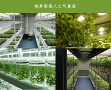 什么是培養(yǎng)架型人工氣候室