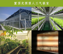 頂置光照型人工氣候室