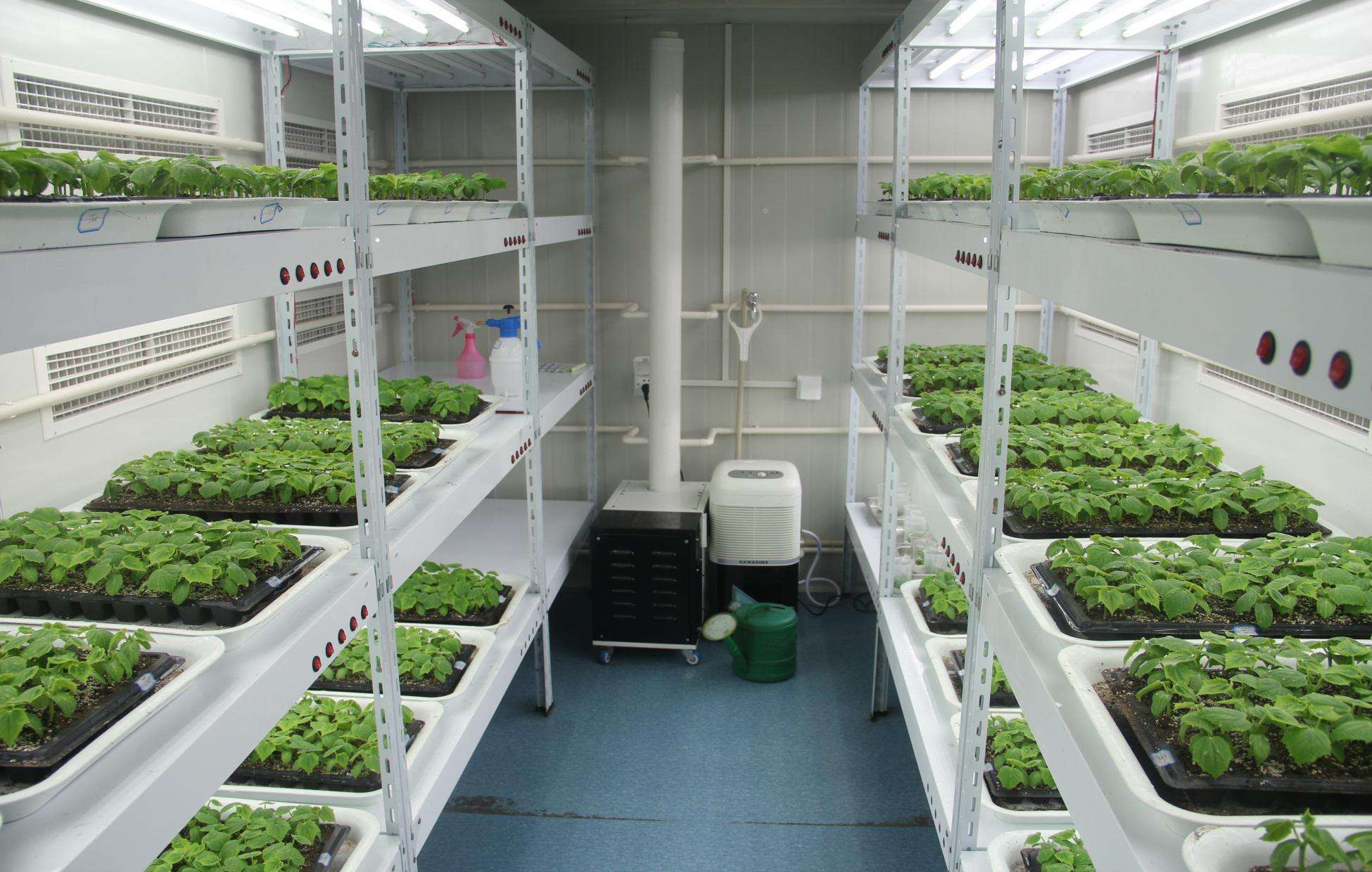 培養(yǎng)架型人工氣候室特點