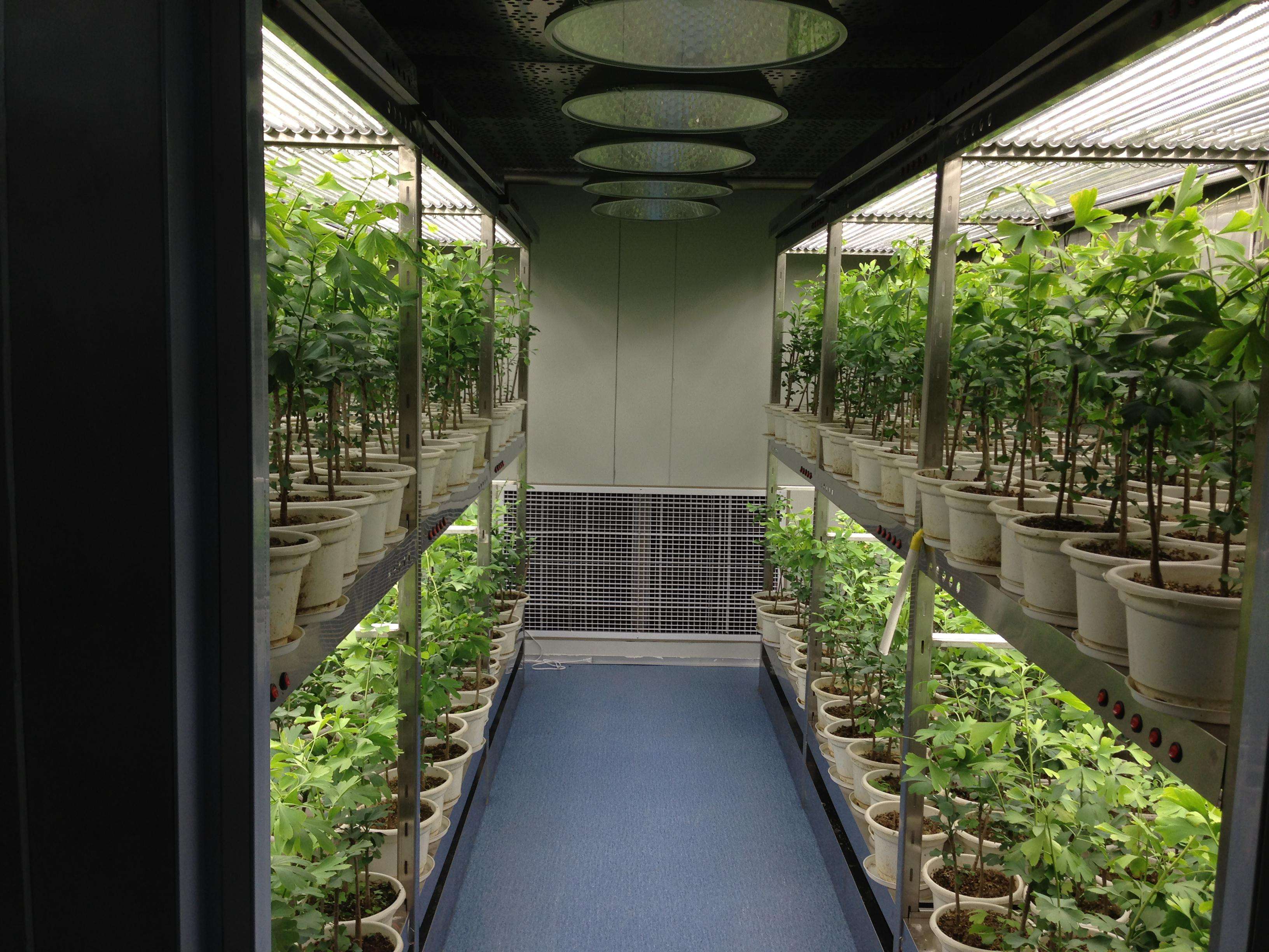 通風(fēng)系統(tǒng)