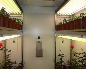 人工氣候室優(yōu)點