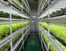 人工氣候室常見分類和作用