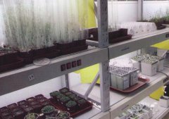 人工氣候室設(shè)計的目的是什么