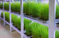 人工氣候室的特點，設(shè)計人員必知