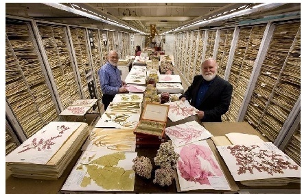 恒溫恒濕標本倉庫建設