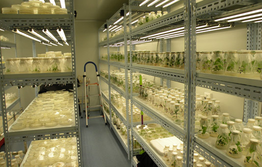 恒溫恒濕培養(yǎng)倉(cāng)庫(kù)