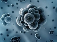 30萬級潔凈間的微塵限度是多少？