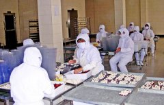 食品廠凈化包裝車間裝修需要注意什么？