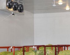 蔬菜保鮮冷庫(kù)設(shè)計(jì)的優(yōu)點(diǎn)有哪些
