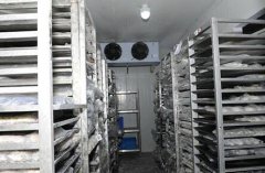 速凍冷庫建造的三大細(xì)節(jié)