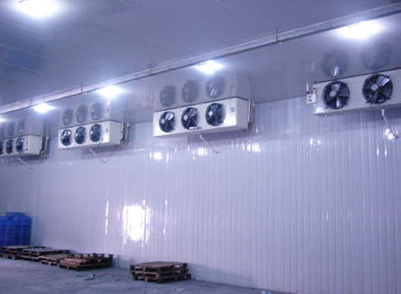 冷庫工程現(xiàn)狀及未來發(fā)展趨勢