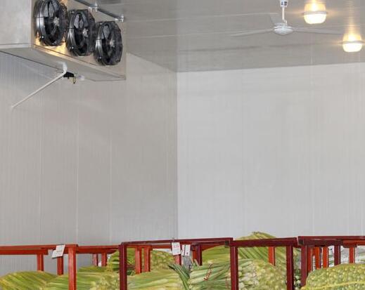 保鮮冷庫(kù)設(shè)計(jì)