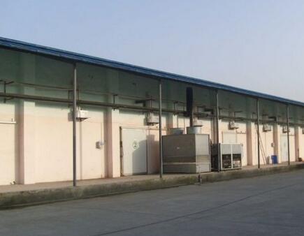 大型冷庫(kù)安裝