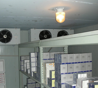 大型物流冷庫(kù)