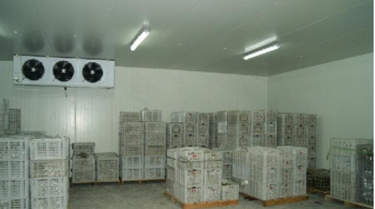 大型冷庫設(shè)計