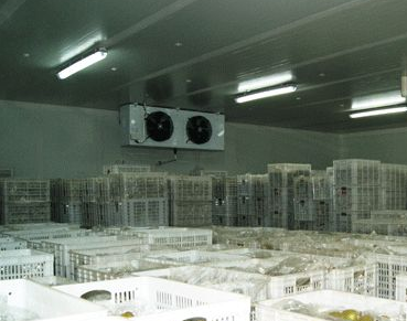 大型冷庫(kù)設(shè)計(jì)