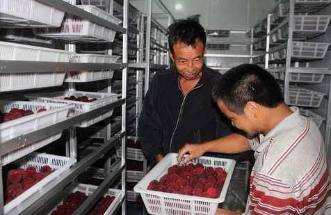 大型水果保鮮冷庫(kù)