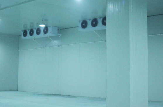 冷庫(kù)建造