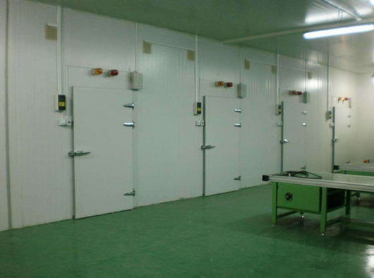 珠海物流冷庫設(shè)計