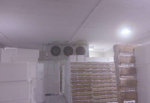 冷庫工程設(shè)計公司