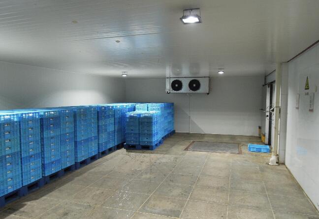 佛山物流冷庫(kù)