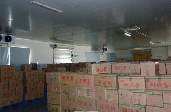 保鮮冷庫建造
