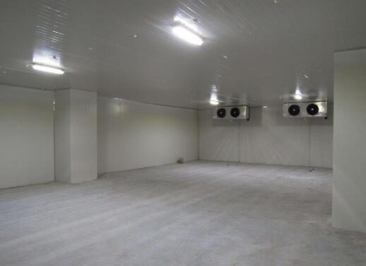 速凍冷庫(kù)建造
