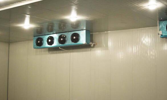 物流冷庫(kù)建造