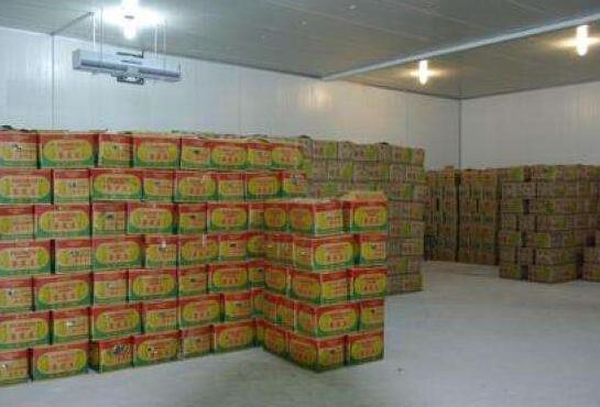 水果冷庫(kù)建造