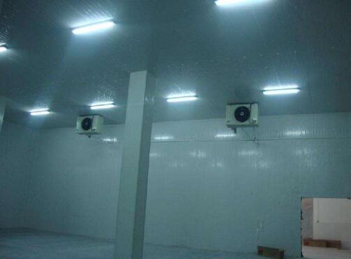 食品冷庫建造設(shè)計