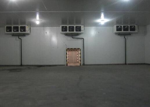 蔬菜冷庫(kù)建造