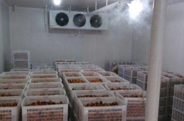 冷庫(kù)設(shè)計(jì)