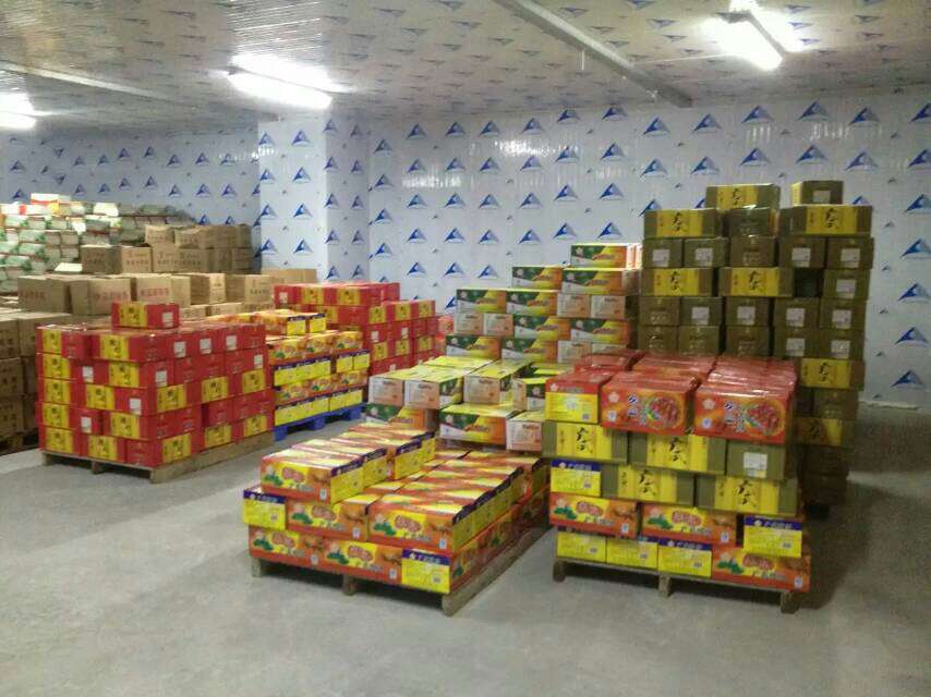 冷庫(kù)工程設(shè)計(jì)