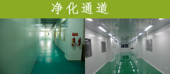 無菌實驗室 凈化通道很重要