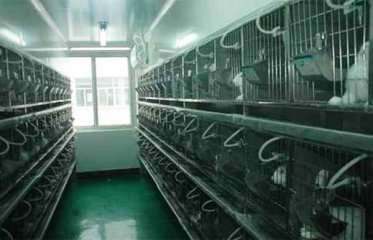 動(dòng)物實(shí)驗(yàn)室工程好做嗎？