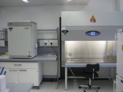 什么叫P2實驗室？