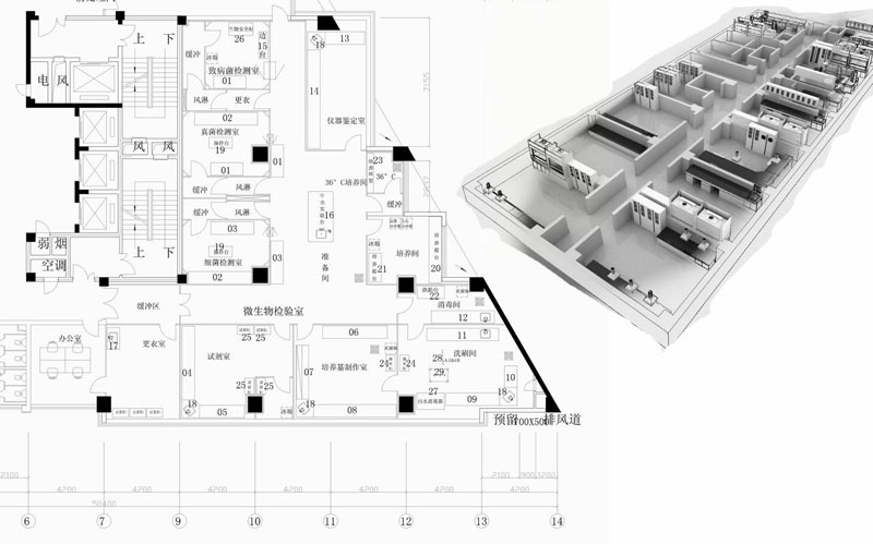 微生物實(shí)驗(yàn)室基本布局