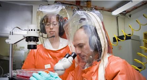 p3實(shí)驗(yàn)室介紹