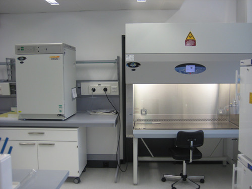 P2實(shí)驗(yàn)室臺(tái)