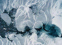 國內(nèi)冷凍庫安裝業(yè)將進(jìn)入瓶頸預(yù)期