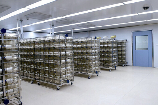 動物實(shí)驗(yàn)室