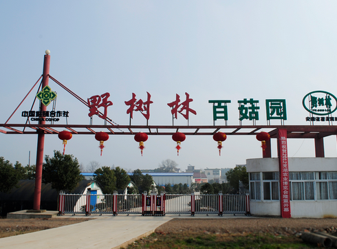 蕪湖野樹(shù)林生物科技