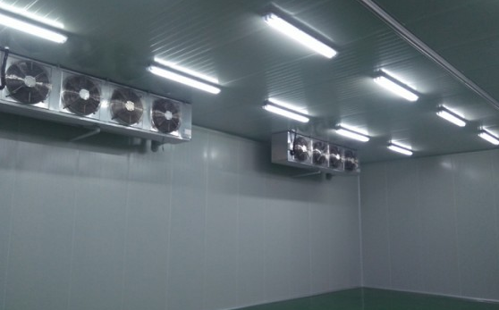 冷庫設(shè)計(jì)