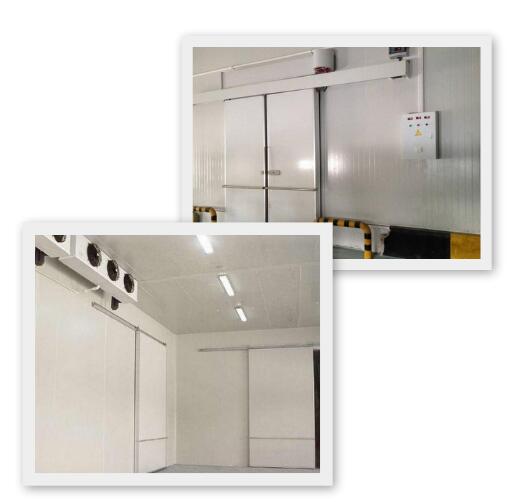 冷庫(kù)安裝公司