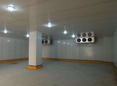 蔬菜太多存不??？蔬菜冷庫有方法