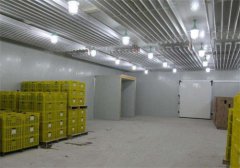 建一個(gè)冷庫需要多少錢？影響冷庫價(jià)格的因素