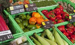 蔬菜冷庫(kù)節(jié)能的竅門有哪些