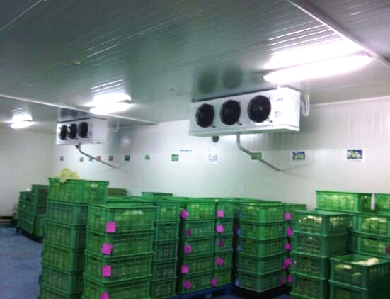 水果保鮮庫(kù)