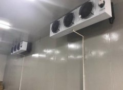 冷庫安裝和保養(yǎng)事項