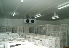 建設(shè)一個(gè)50噸的冷庫(kù)需要多少錢